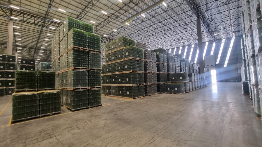 Commercial Property for Sale in Parow Industrial Western Cape